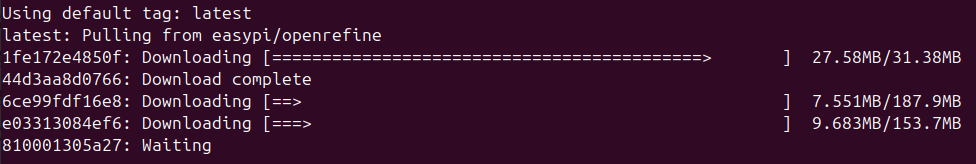 terminal window showing downloading progress