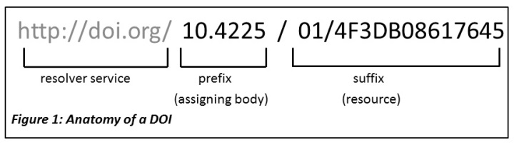 Anatomy of a DOI