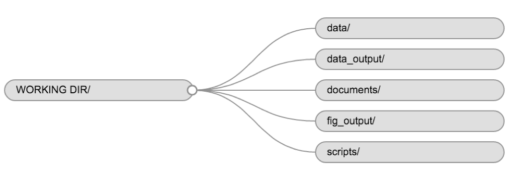 Diagram of a Working Directory, with folders for data, data output, documents, fig output, and scripts
